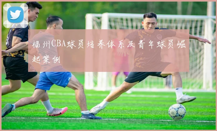 福州CBA球员培养体系及青年球员崛起案例