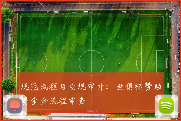 规范流程与合规审计：世俱杯赞助资金全流程审查