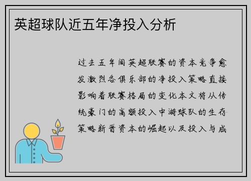 英超球队近五年净投入分析